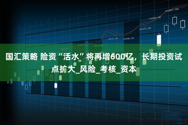国汇策略 险资“活水”将再增600亿，长期投资试点扩大_风险_考核_资本