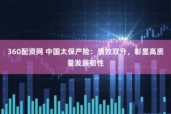 360配资网 中国太保产险：质效双升，彰显高质量发展韧性