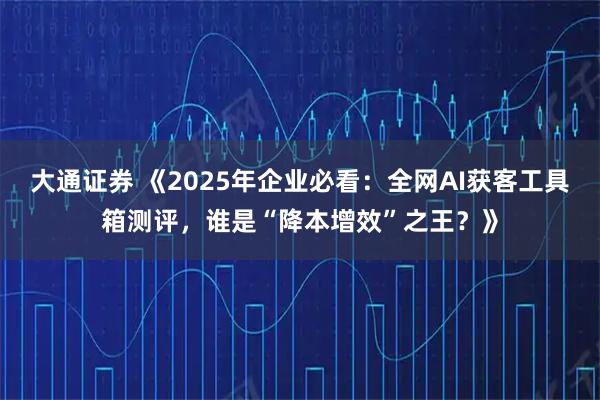 大通证券 《2025年企业必看：全网AI获客工具箱测评，谁是“降本增效”之王？》