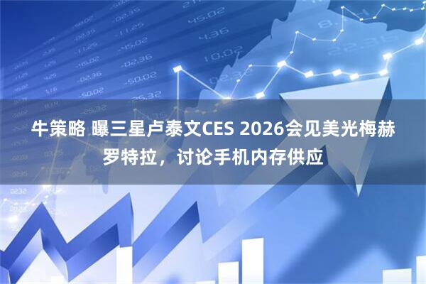 牛策略 曝三星卢泰文CES 2026会见美光梅赫罗特拉，讨论手机内存供应